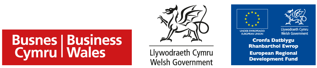 Business Wales New Logo