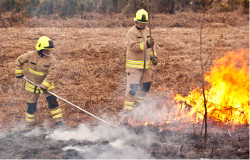 jru_grass fires jru_grass fires